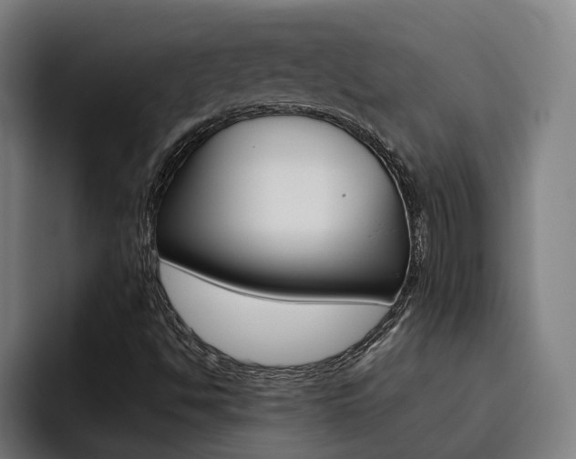 X0000093491494200710121003