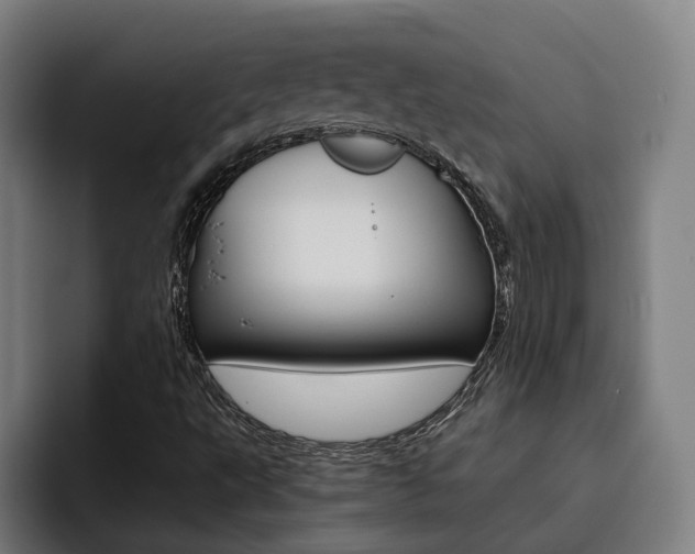 X0000093491495200710121003