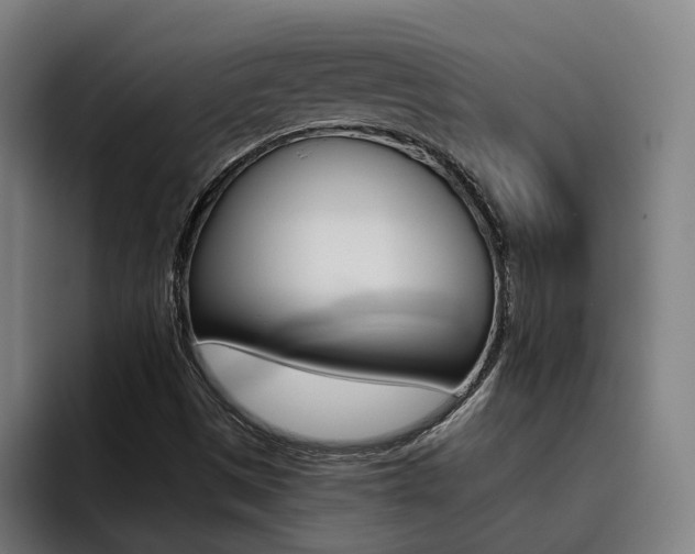 X0000093491497200710121003