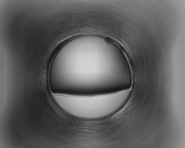 X0000093491499200710121003