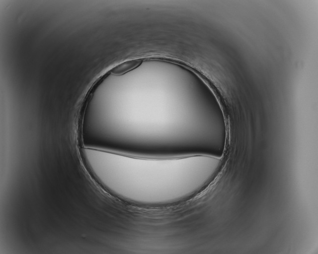 X0000093491500200710121003