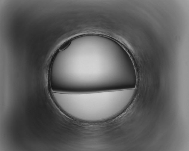X0000093491504200710121003