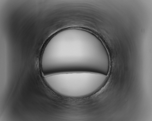 X0000093491505200710121003