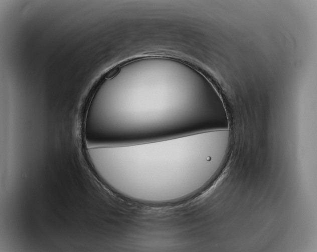 X0000093491506200710121003