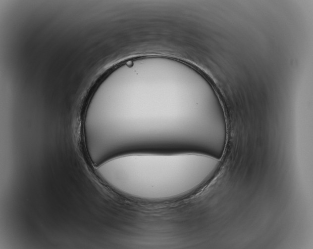 X0000093491507200710121003