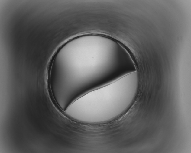 X0000093491508200710121003