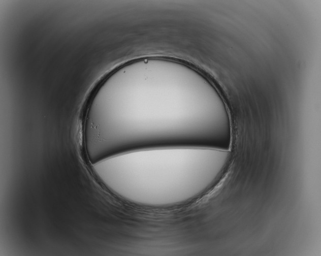 X0000093491509200710121003