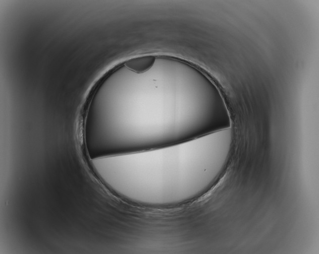 X0000093491510200710121003