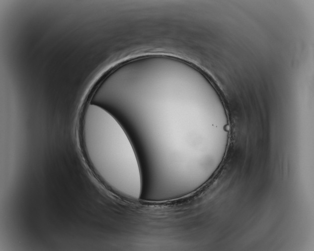X0000093491511200710121003