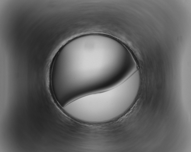 X0000093491512200710121003