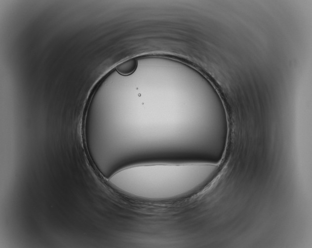 X0000093491513200710121003