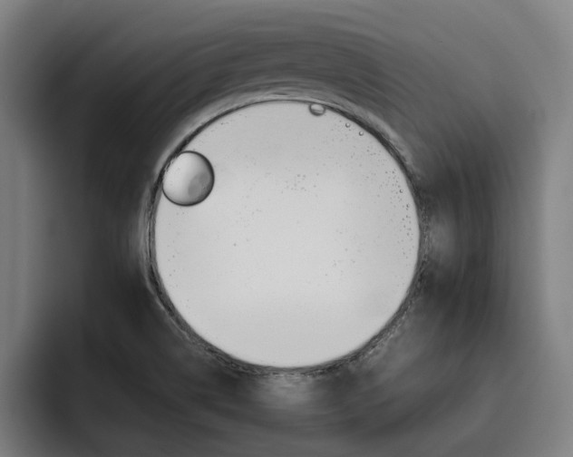 X0000093491514200710121003