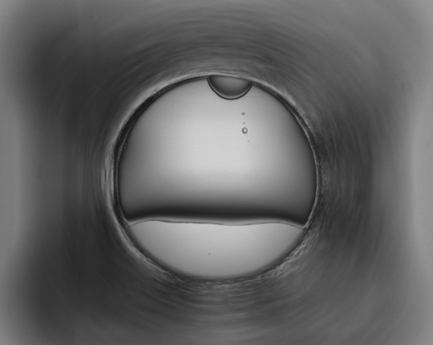 X0000093491515200710121003