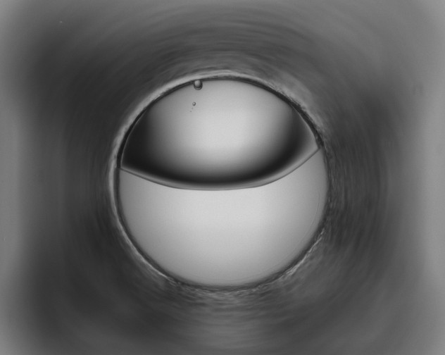 X0000093491516200710121003