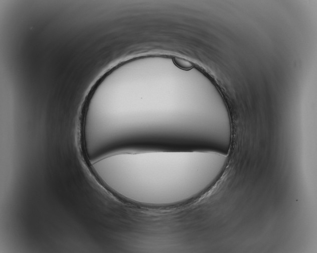 X0000093491518200710121003
