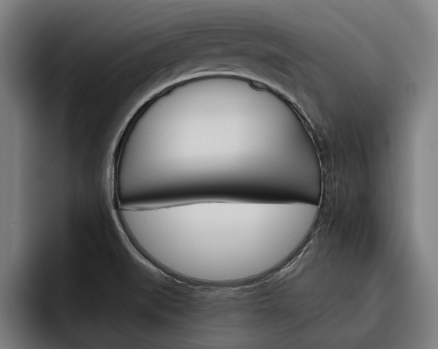 X0000093491519200710121003