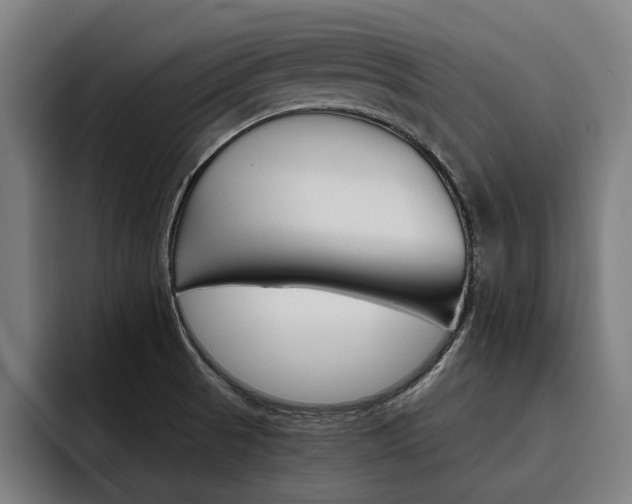 X0000093491521200710121003
