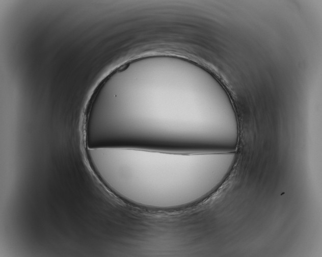 X0000093491522200710121003