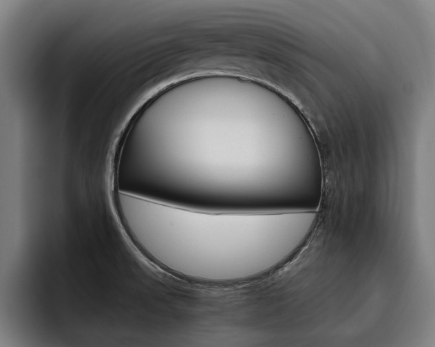 X0000093491523200710121003