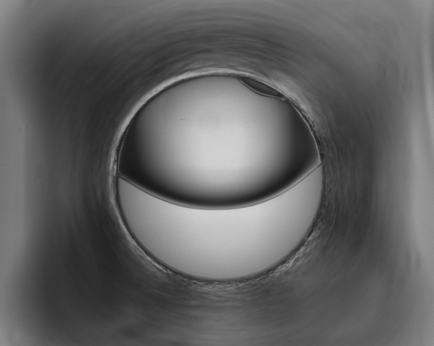 X0000093491524200710121003