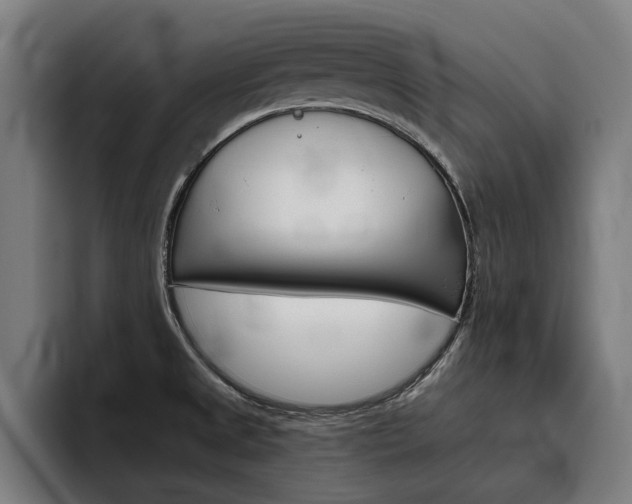 X0000093491525200710121003