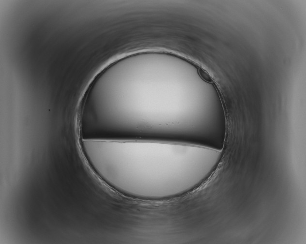 X0000093491526200710121003