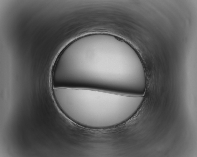 X0000093491527200710121003