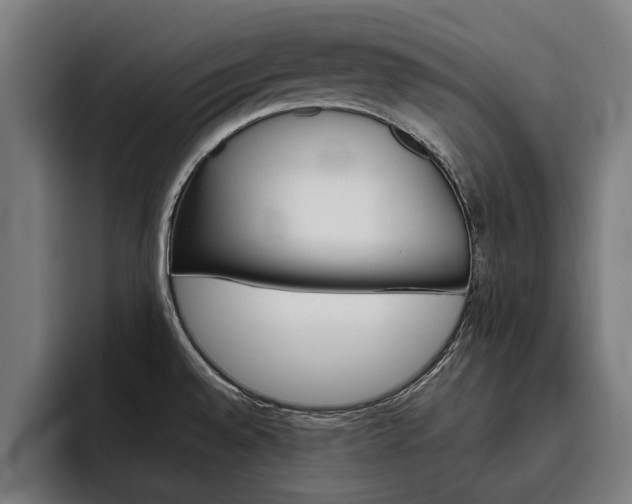 X0000093491528200710121003