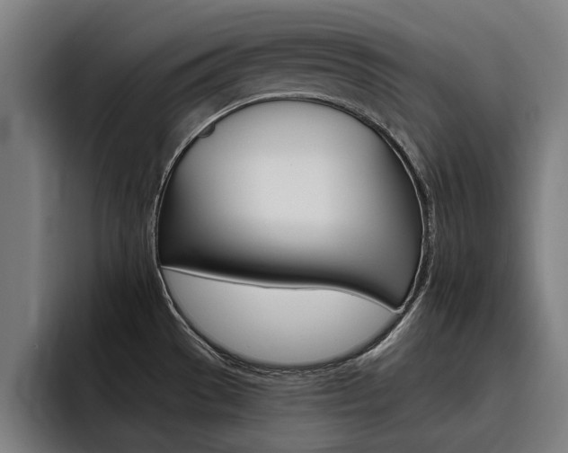 X0000093491529200710121003