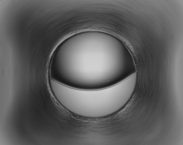 X0000093491530200710121003