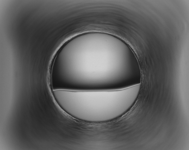 X0000093491531200710121003