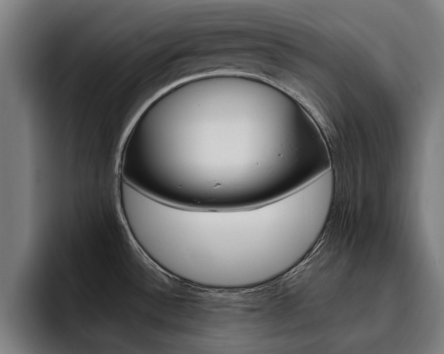 X0000093491532200710121003
