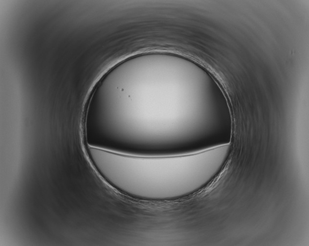 X0000093491533200710121003
