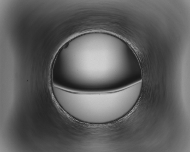 X0000093491534200710121003