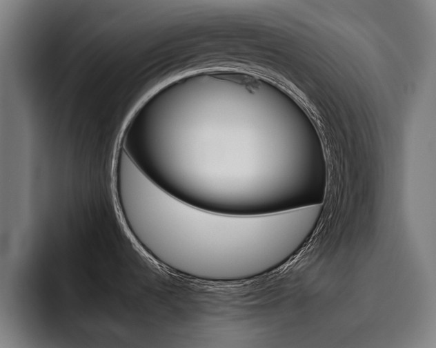 X0000093491536200710121003