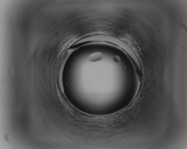 X0000093490001200710121516