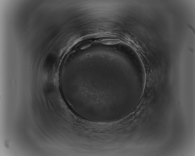 X0000093490002200710121516