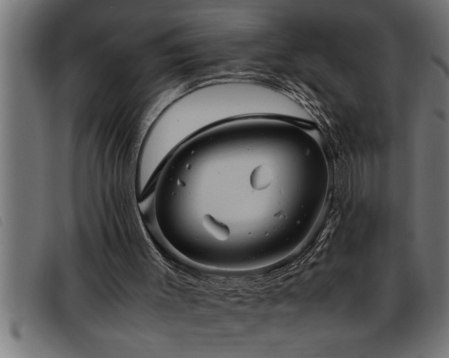 X0000093490003200710121516