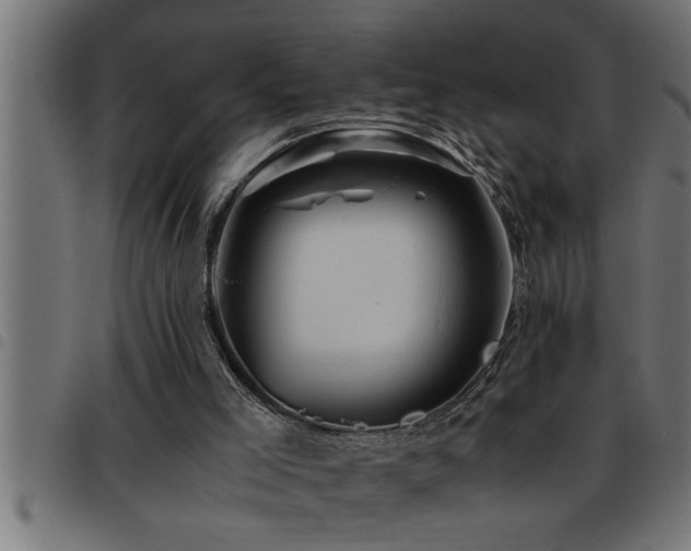 X0000093490005200710121516