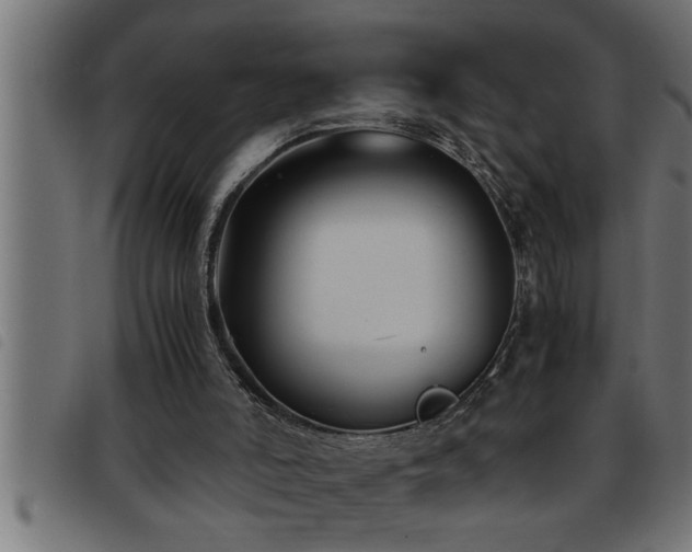 X0000093490006200710121516