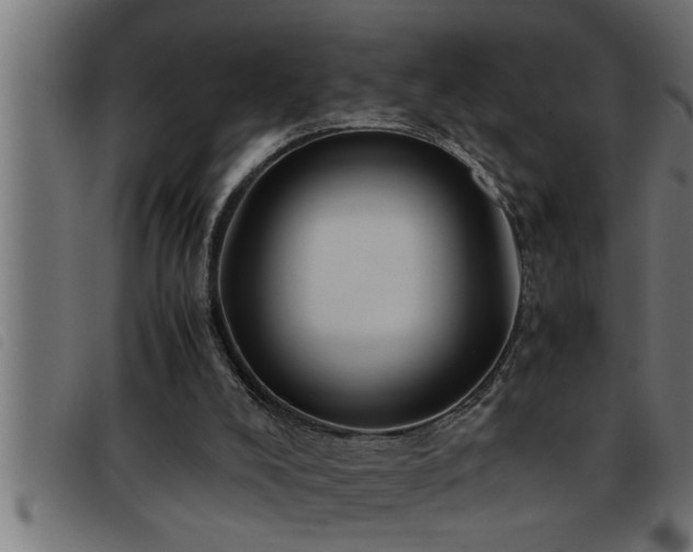 X0000093490008200710121516