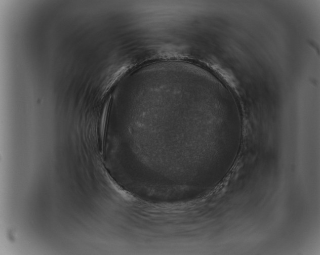 X0000093490009200710121516