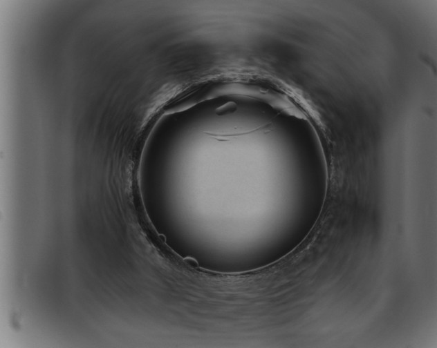 X0000093490010200710121516