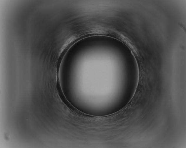 X0000093490011200710121516