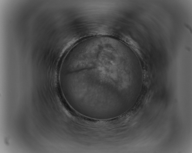 X0000093490012200710121516