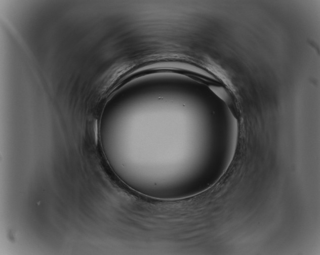 X0000093490013200710121516