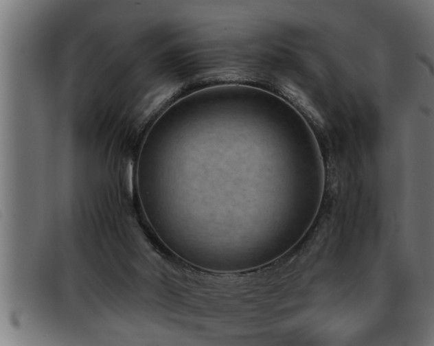 X0000093490014200710121516
