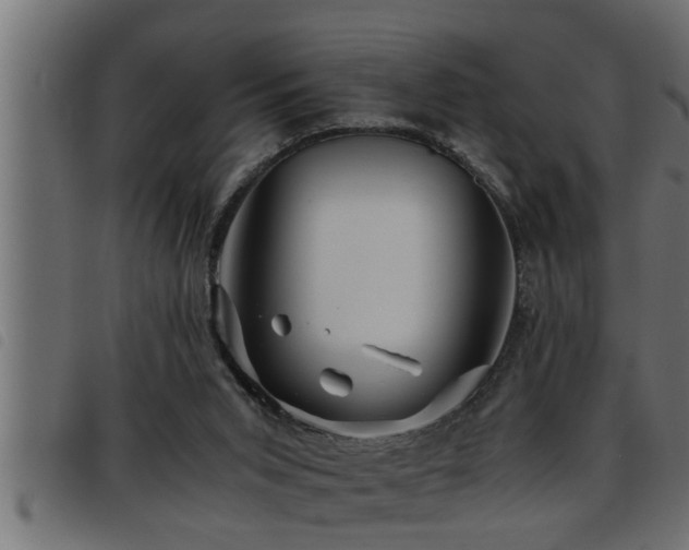 X0000093490015200710121516
