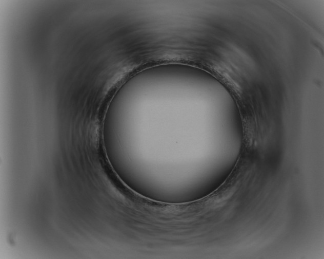 X0000093490016200710121516