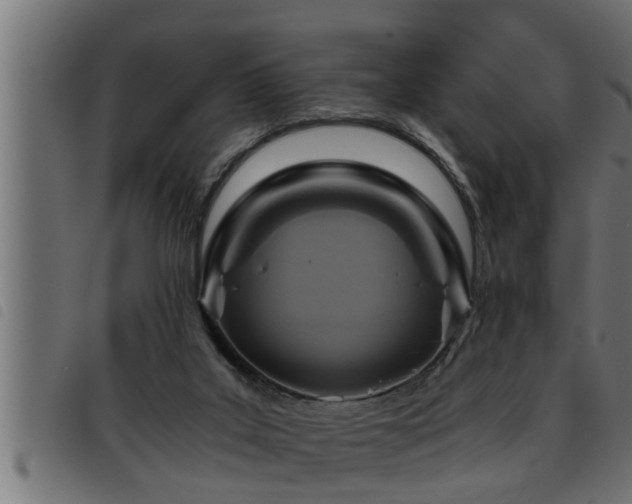 X0000093490019200710121516